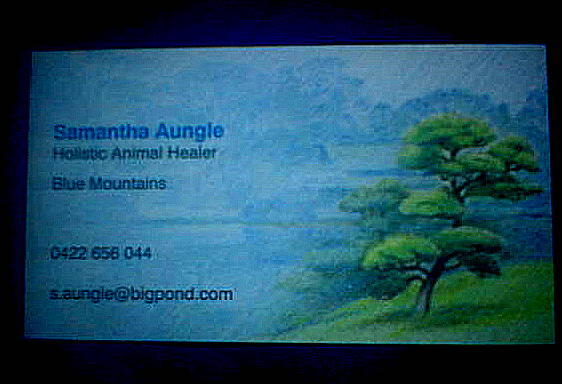 Samantha Aungle