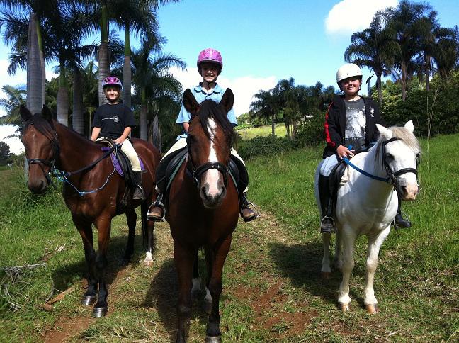 Currumbin Horse Riding Farm
