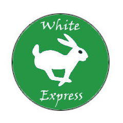 White Rabbit Express