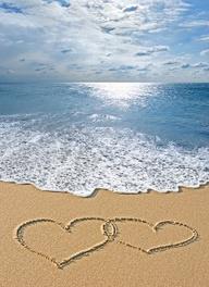 Discovery Coast Wedding Planner