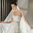 Bridal Vision