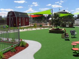 Wallaby Childcare: Epping