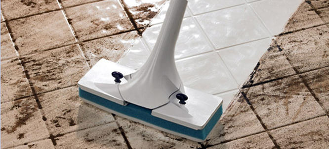 Floor & Pest Clean