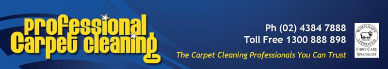 Professional Carpet Cleaning: Wamberal logo
