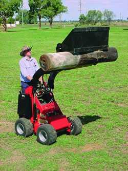 Daves Dingo Hire