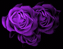 Bernice Gracie Property Solutions logo