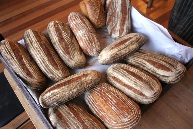 Companion Bakery