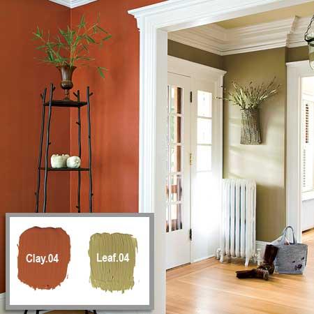 Aleks House Painting Services