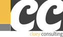 Cluey Consulting