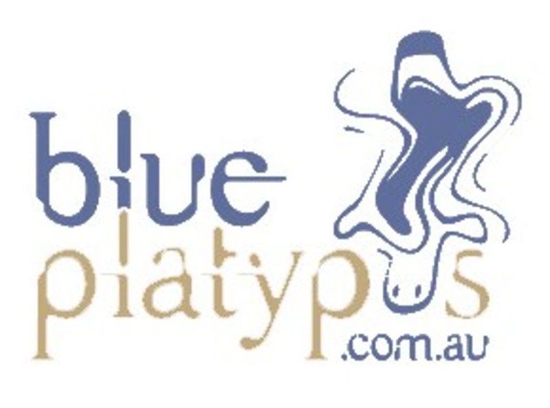 Blue Platypus Web Design and Marketing