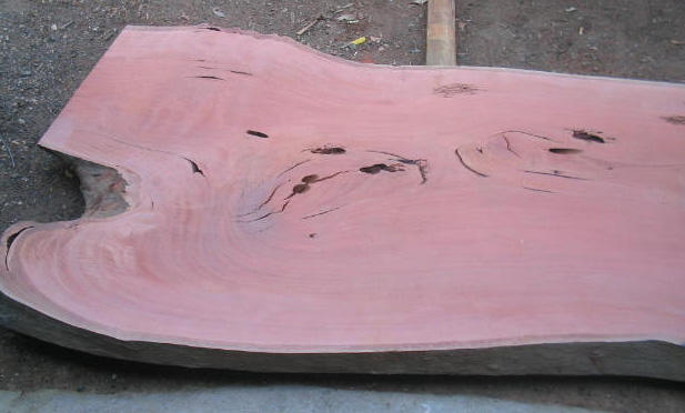 Wood Wizards