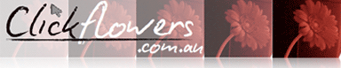 Clickflowers