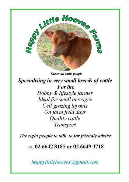 Happy Little Hooves Farms