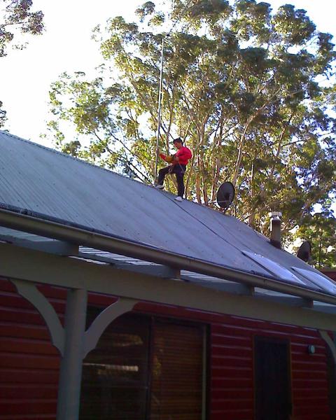 TV Antenna Nowra