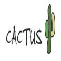 Cactus Watches