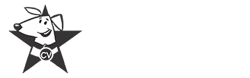 Canes Venatici
