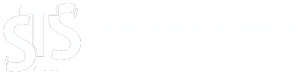 System Technology Services: Greenvale