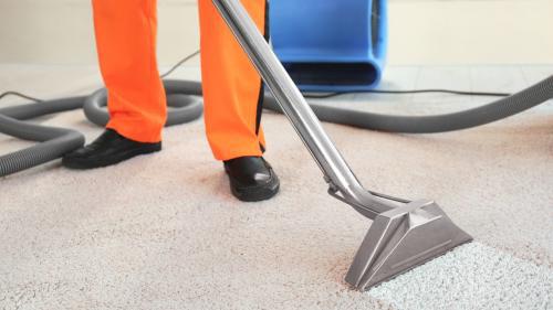 Fresh Carpet Cleaning: Burpengary