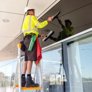 Professional Window Cleaning