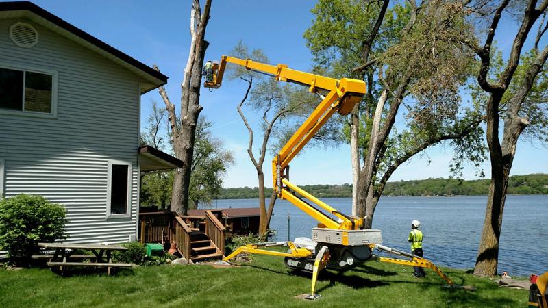 Perth Tree Removal