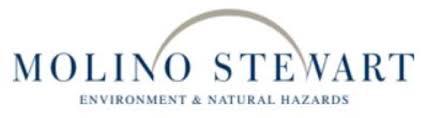 Molino Stewart logo
