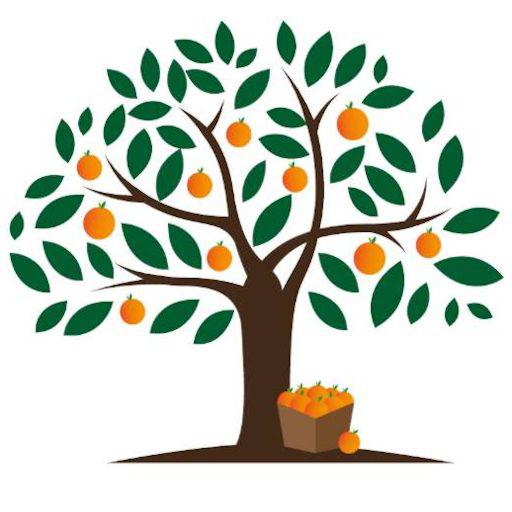 Golden Grove Orchard