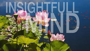 Insightful Mind