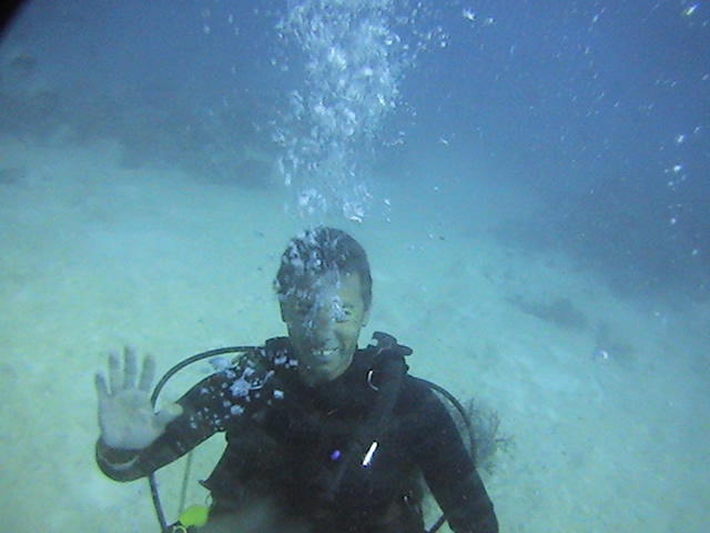 Gone Diving Hervey Bay: Urangan