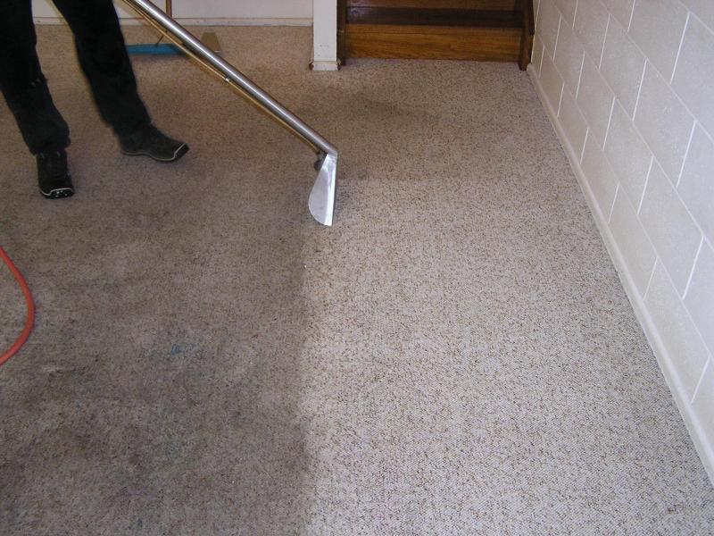Bee Jays Cleaning Services