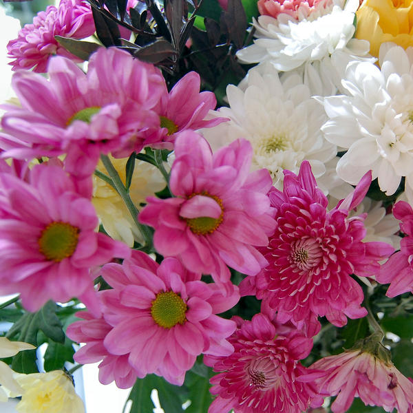 Flowers Melb