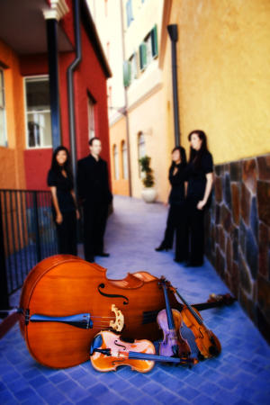 16 Strings String Quartet Brisbane