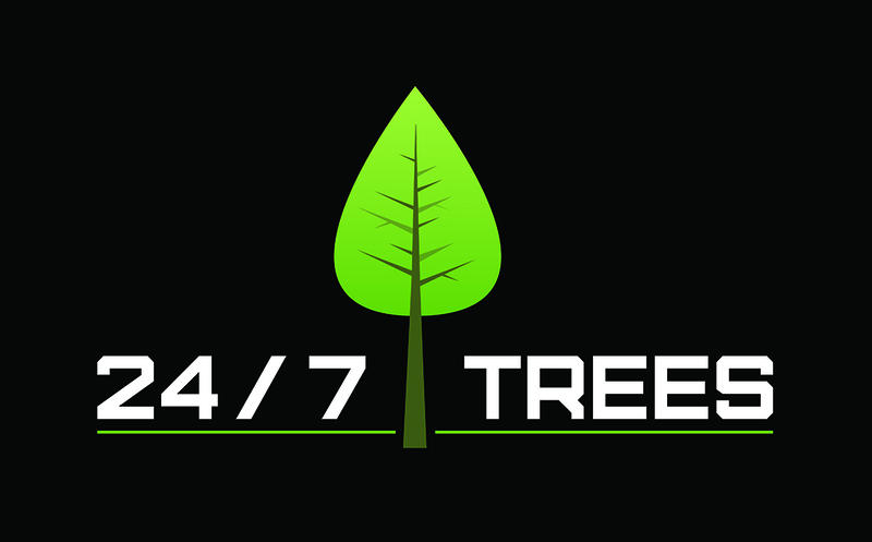 247 Trees