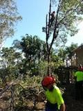 Bark-ing Mad Tree Services