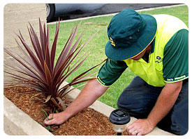 Jim’s Mowing Sydney: Kensington South