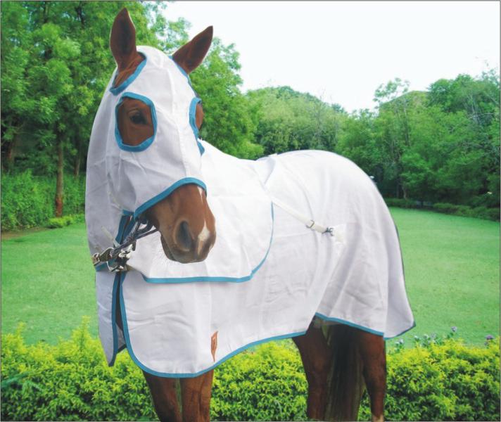 Capriole Equestrian