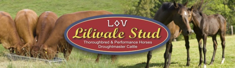 Lilivale Stud