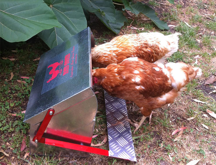 Red Comb Chook Feeders