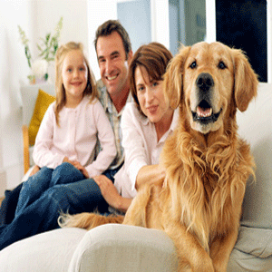Ecology-Care Pest Control