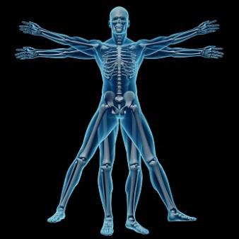 Carina Chiropractic Clinic