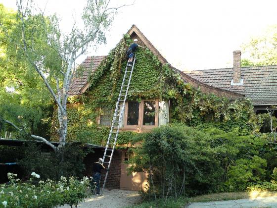 Grayson's Gutter Cleaning