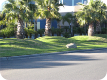 A to Z Gardening Services