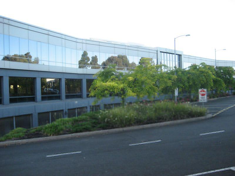 Ace Tinting