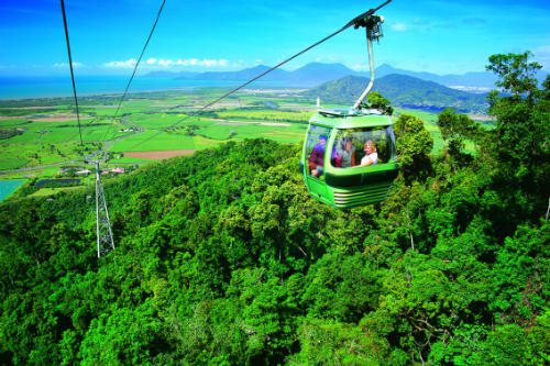 Skyrail Rainforest Cableway