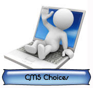 RamZ Website Solutions