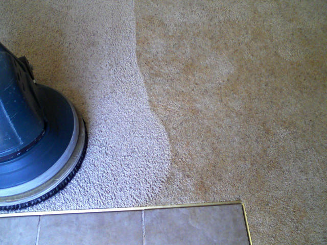 Smart Choice Carpet Cleaning