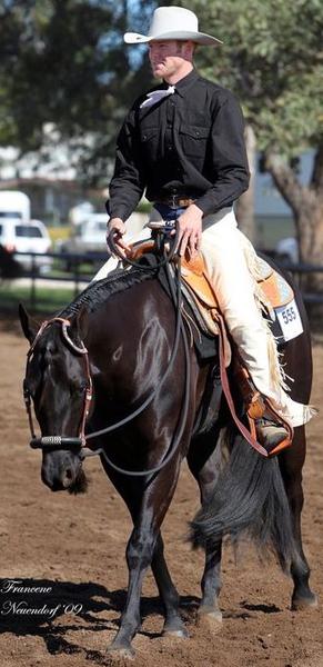 Elite Horsemanship