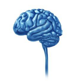 Advanced Neuropsychological Treatment Services