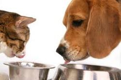 Holroyd Veterinary Clinic