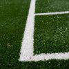 Absolute Synthetic Turf