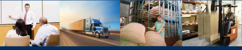 First Options Training Solutions
